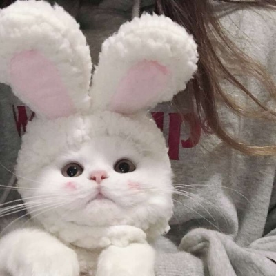 科铁布莱恩